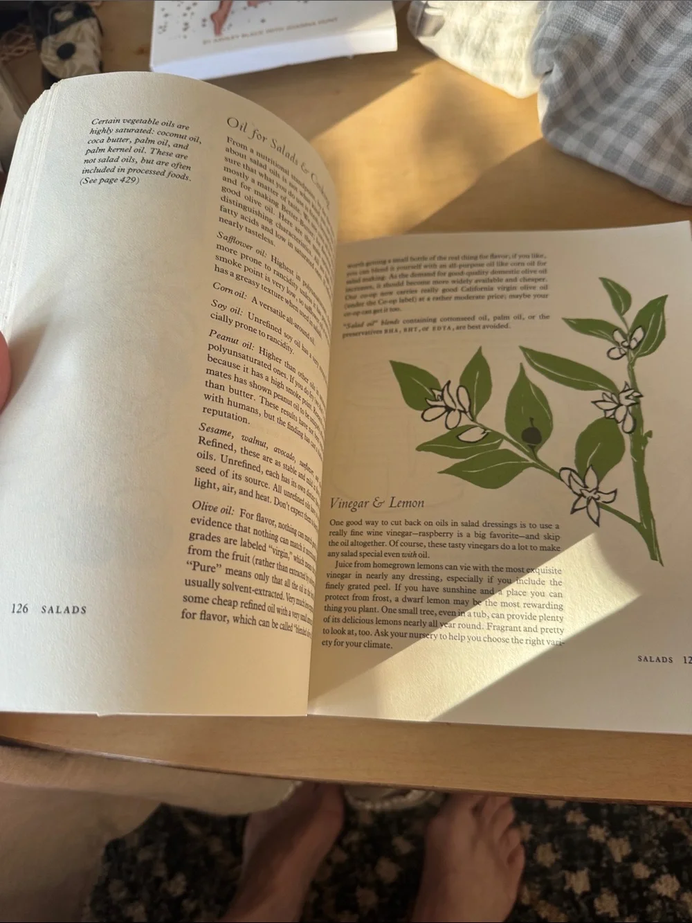 The New Laurel's Kitchen Cookbook — Brown and Green Cover